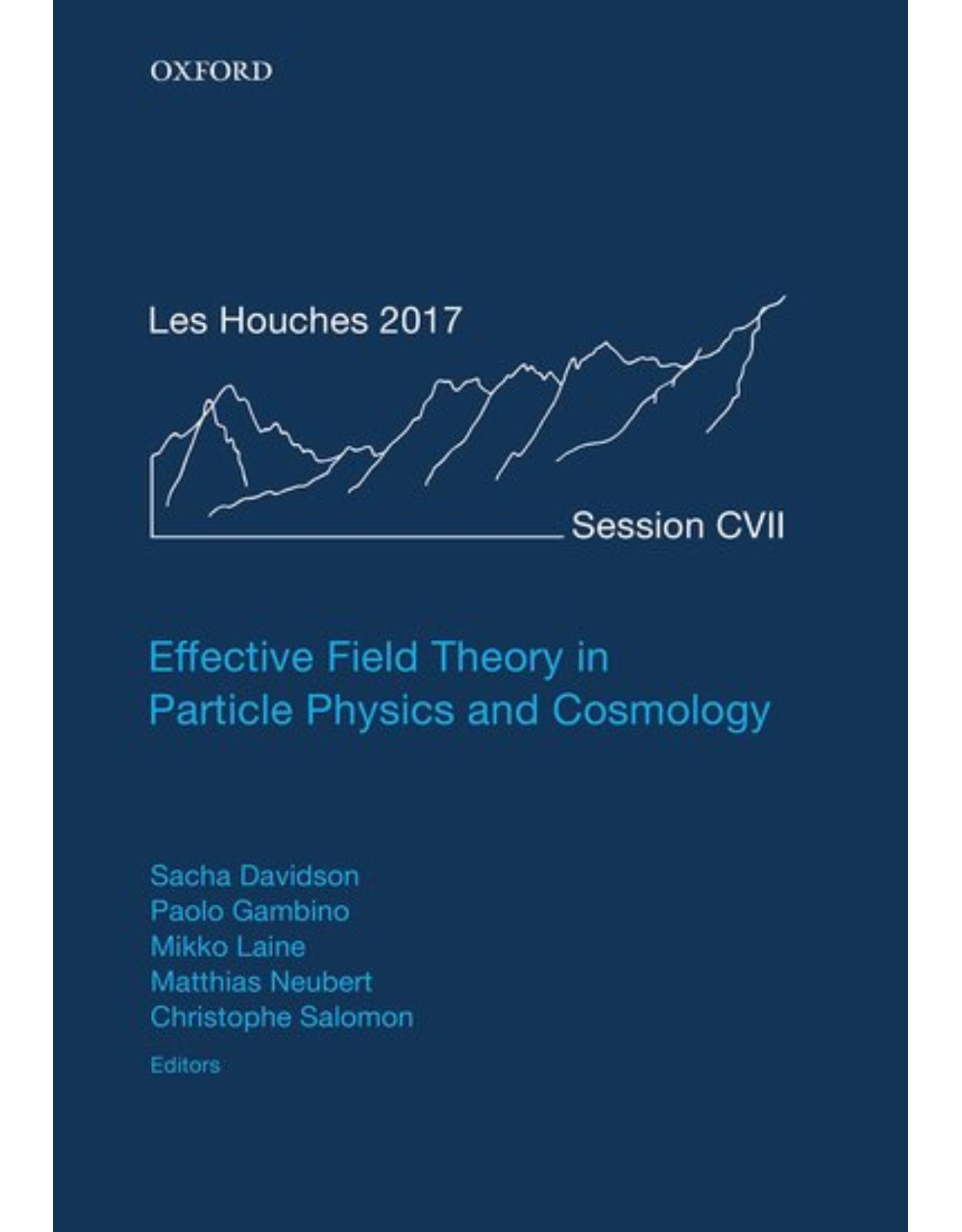 Effective Field Theories in Particle Physics and Cosmology