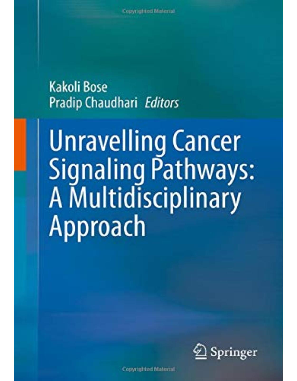 Unravelling Cancer Signaling Pathways: A Multidisciplinary Approach