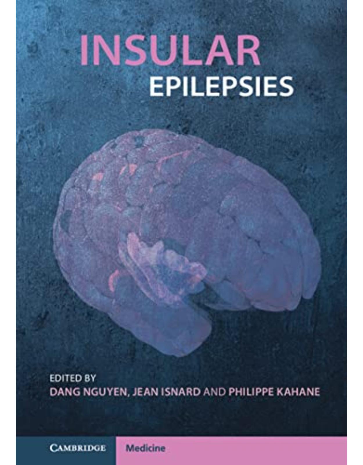 Insular Epilepsies