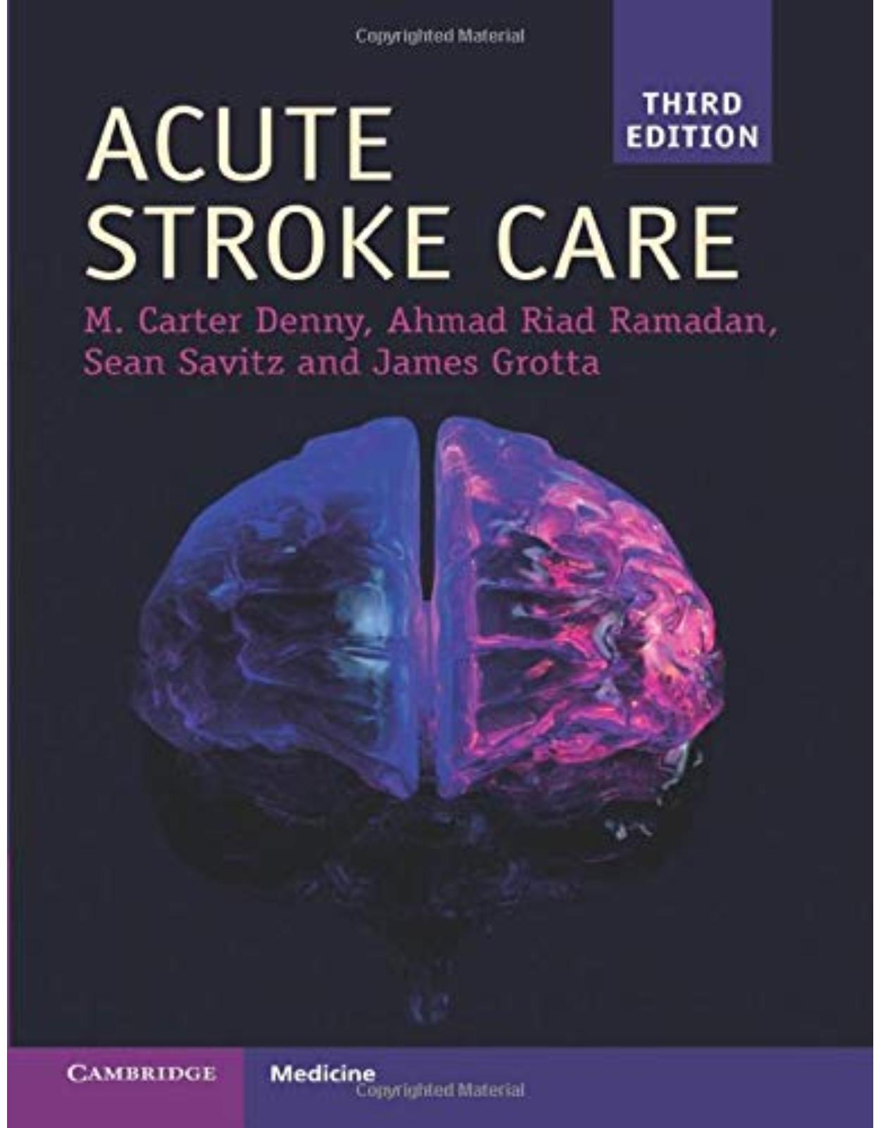 Acute Stroke Care 