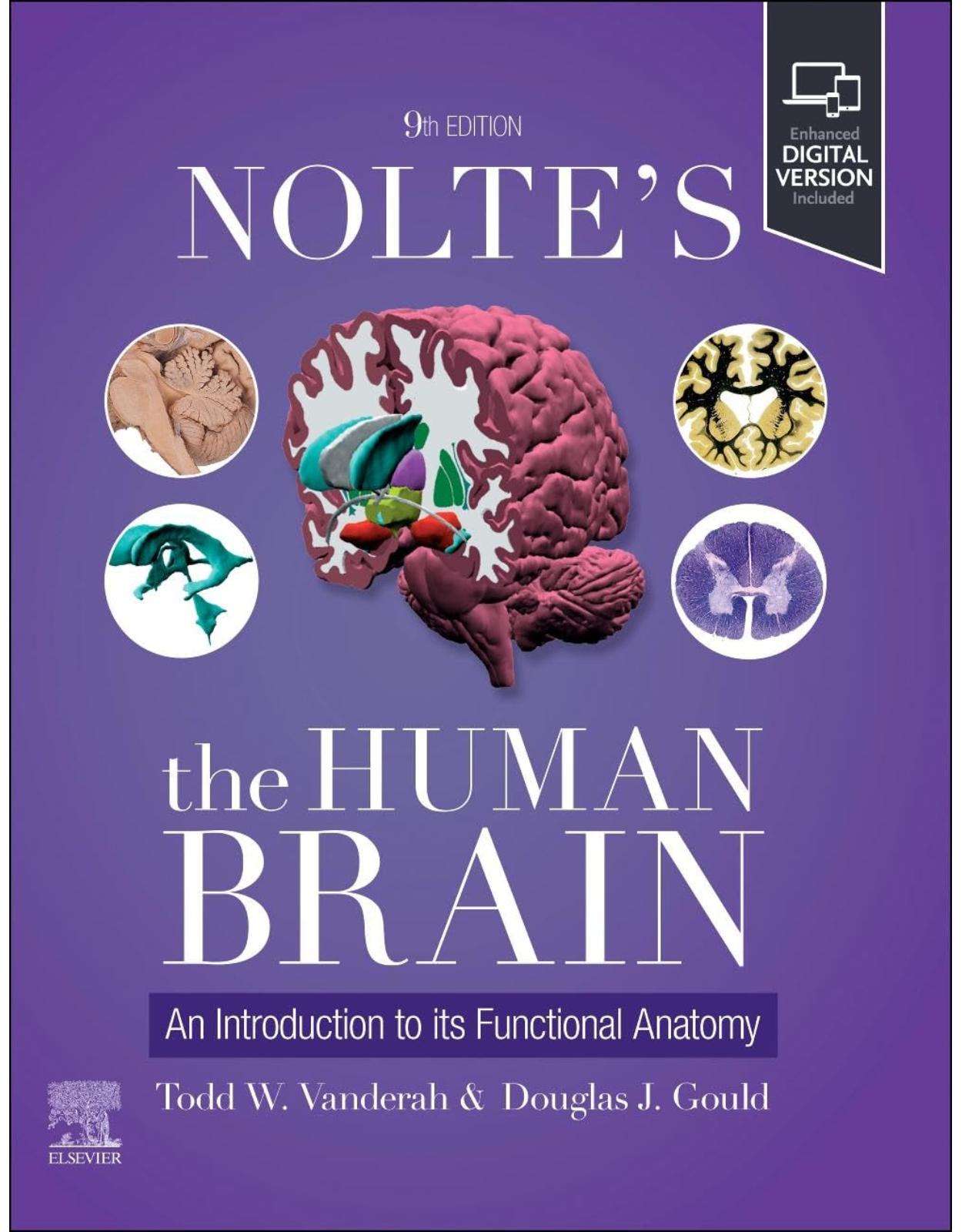 Nolte's The Human Brain: An Introduction to its Functional Anatomy