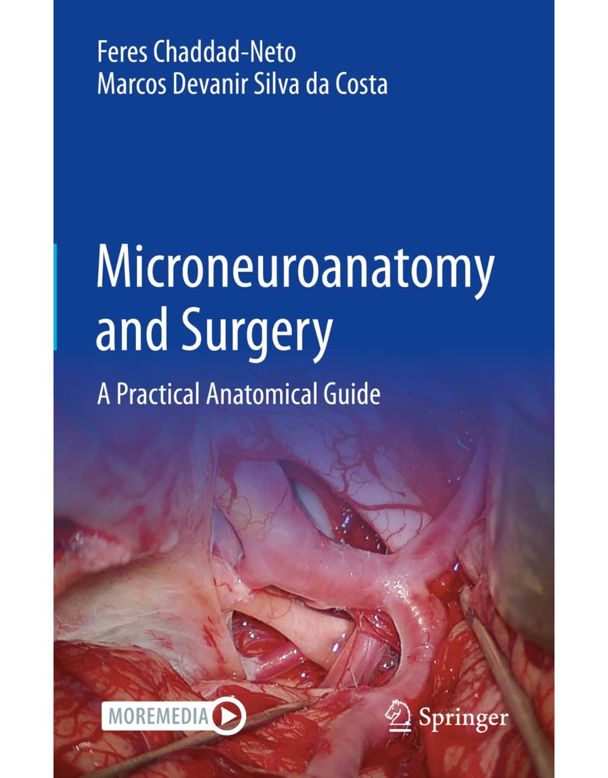 Microneuroanatomy and Surgery