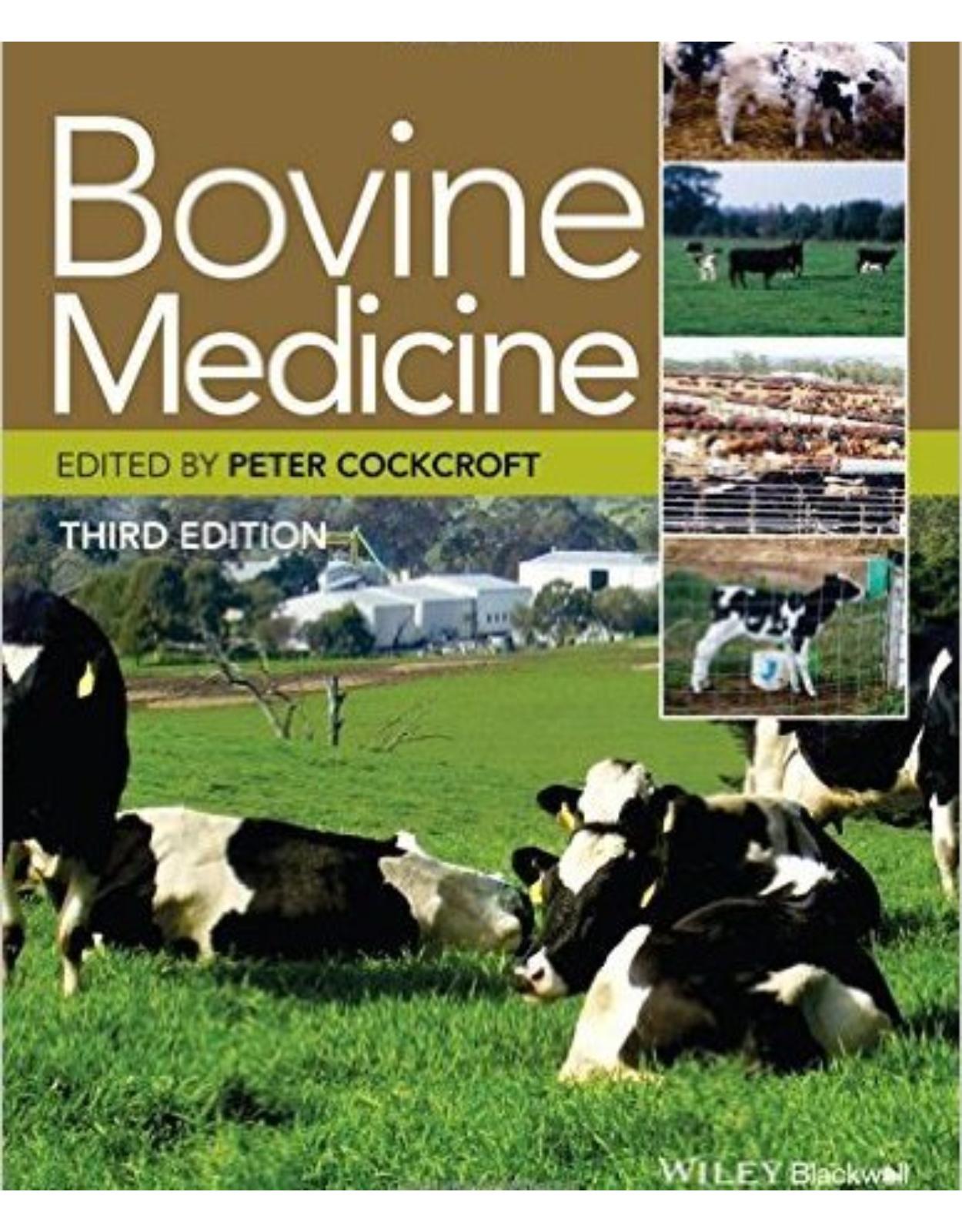 Bovine Medicine 3rd Edition