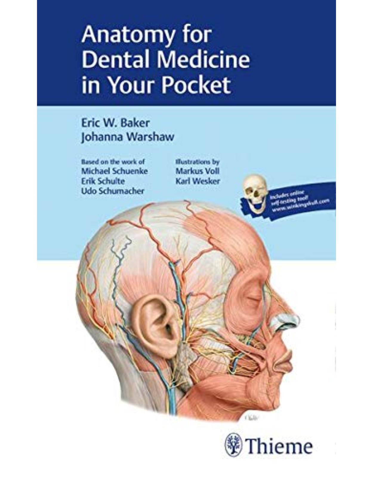 Anatomy for Dental Medicine in Your Pocket