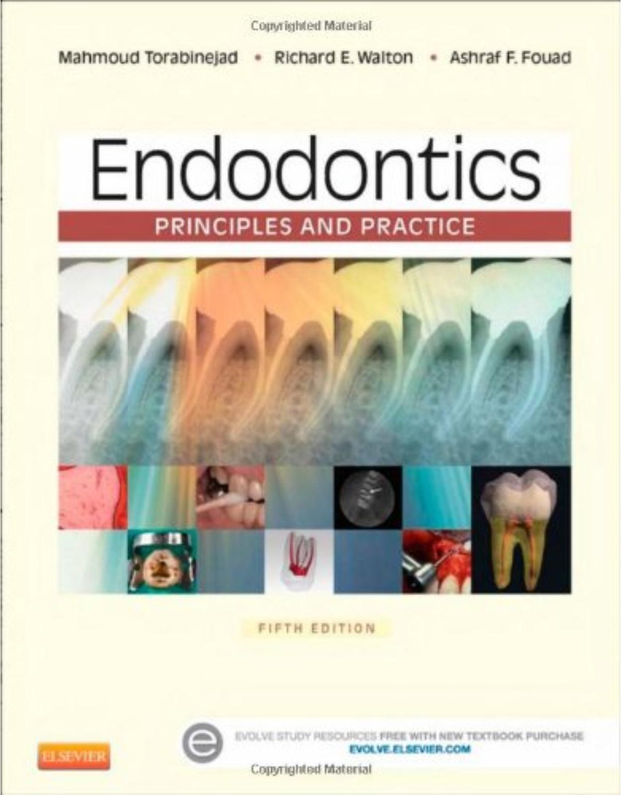 Endodontics: Principles and Practice, 5e