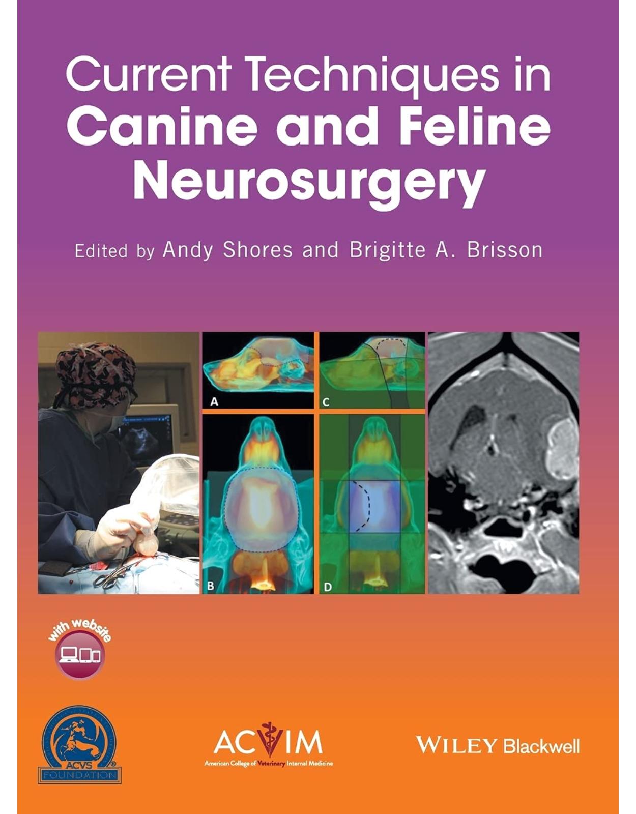 Current Techniques in Canine and Feline Neurosurgery