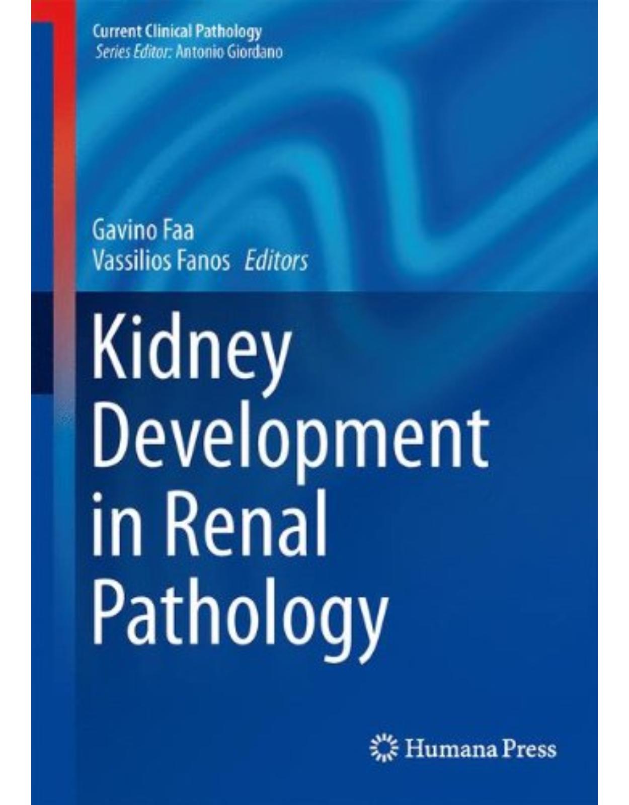 Kidney Development in Renal Pathology