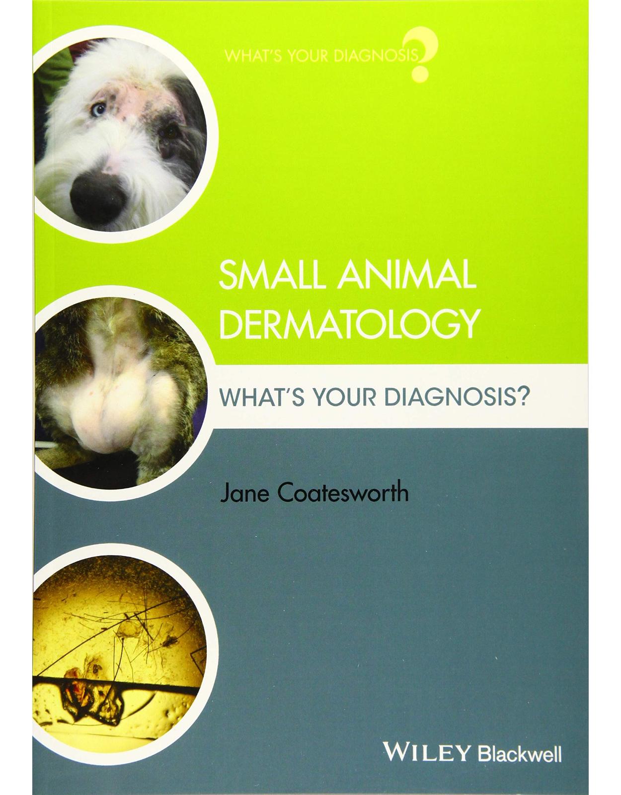 Small Animal Dermatology: What′s Your Diagnosis?