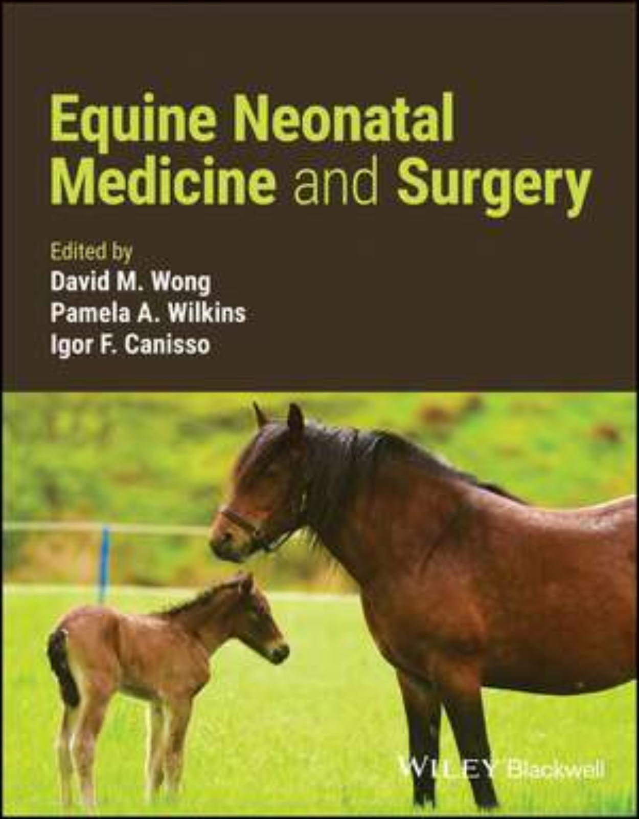 Equine Neonatal Medicine