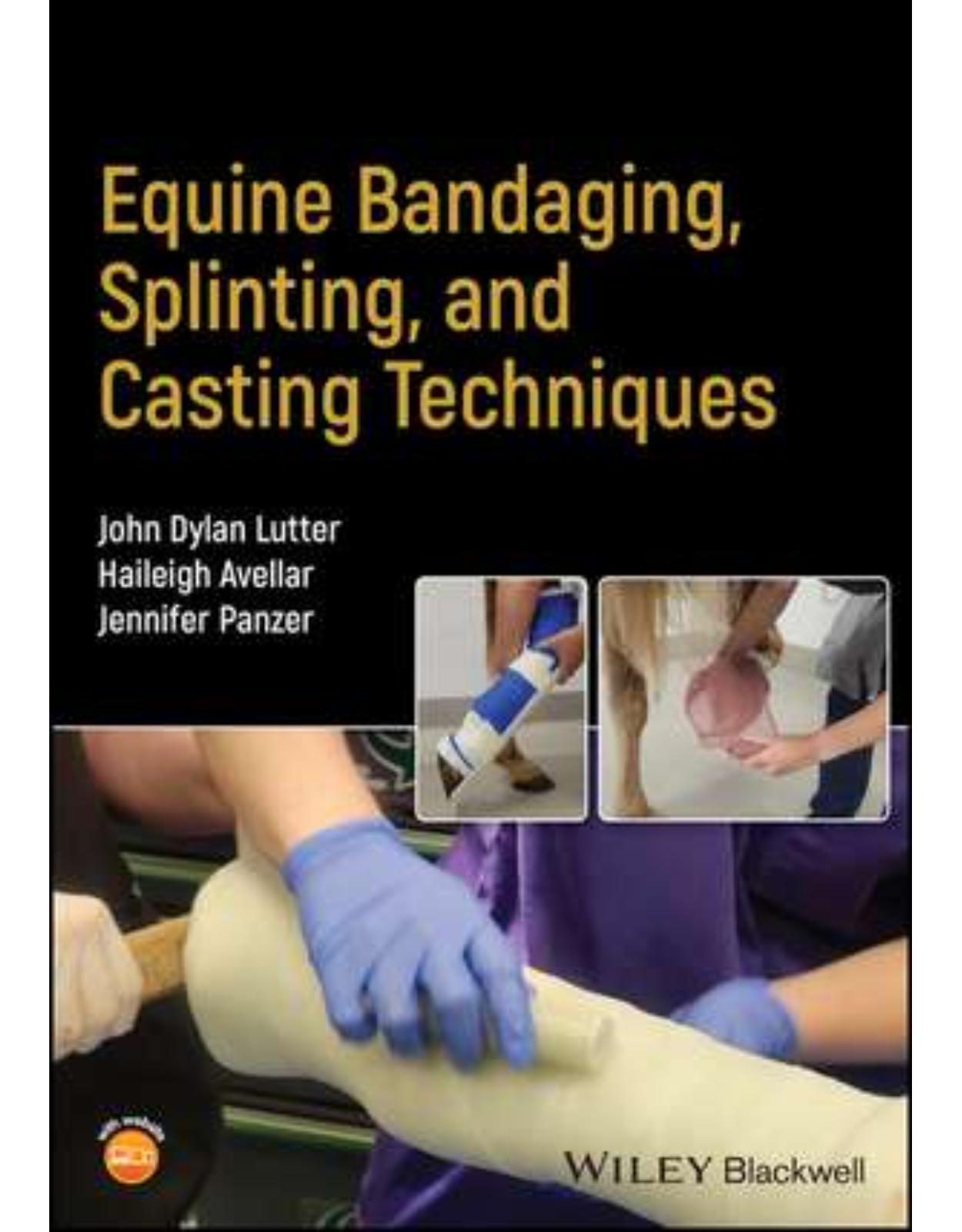 Equine Bandaging, Splinting, and Casting Techniques