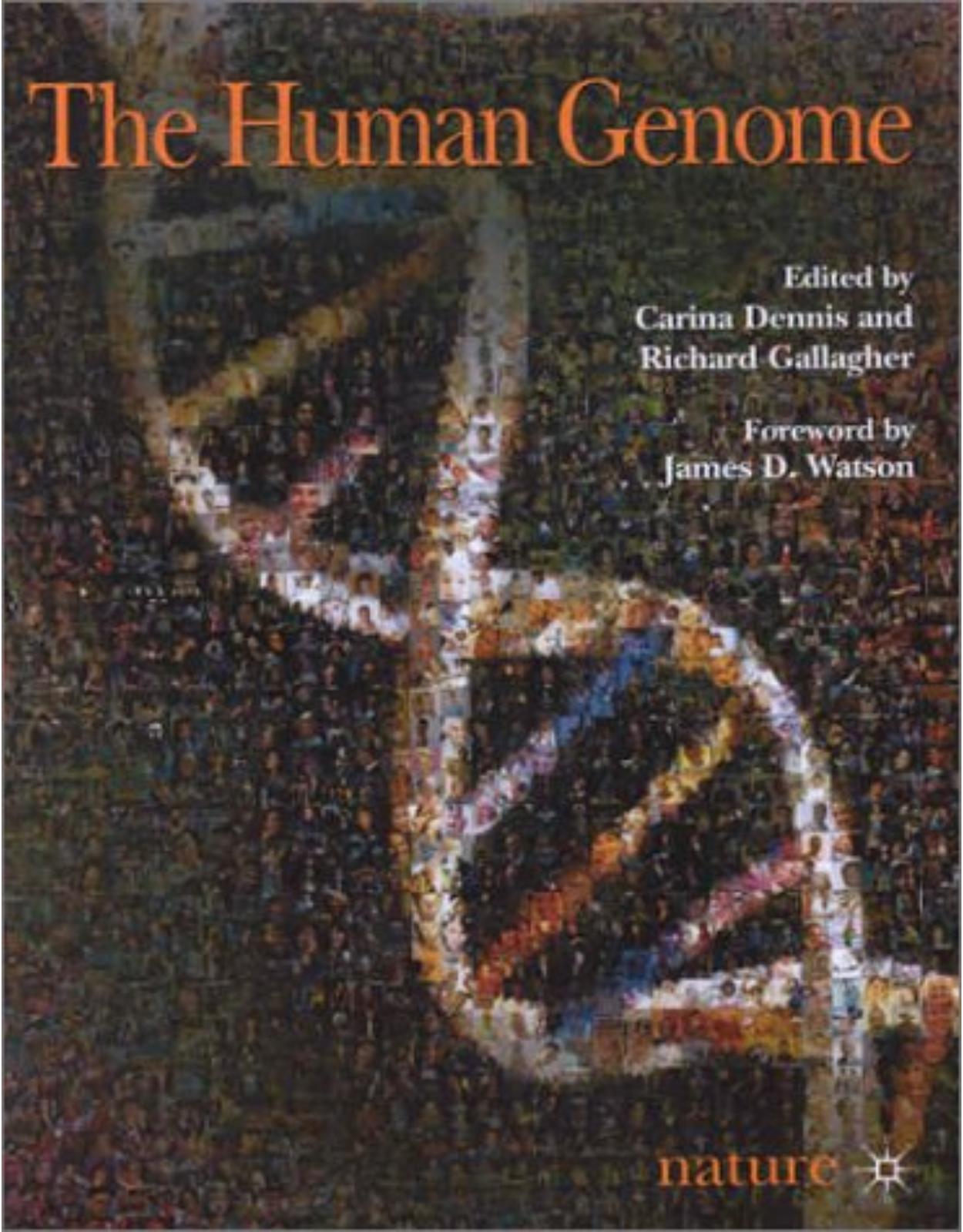 The Human Genome