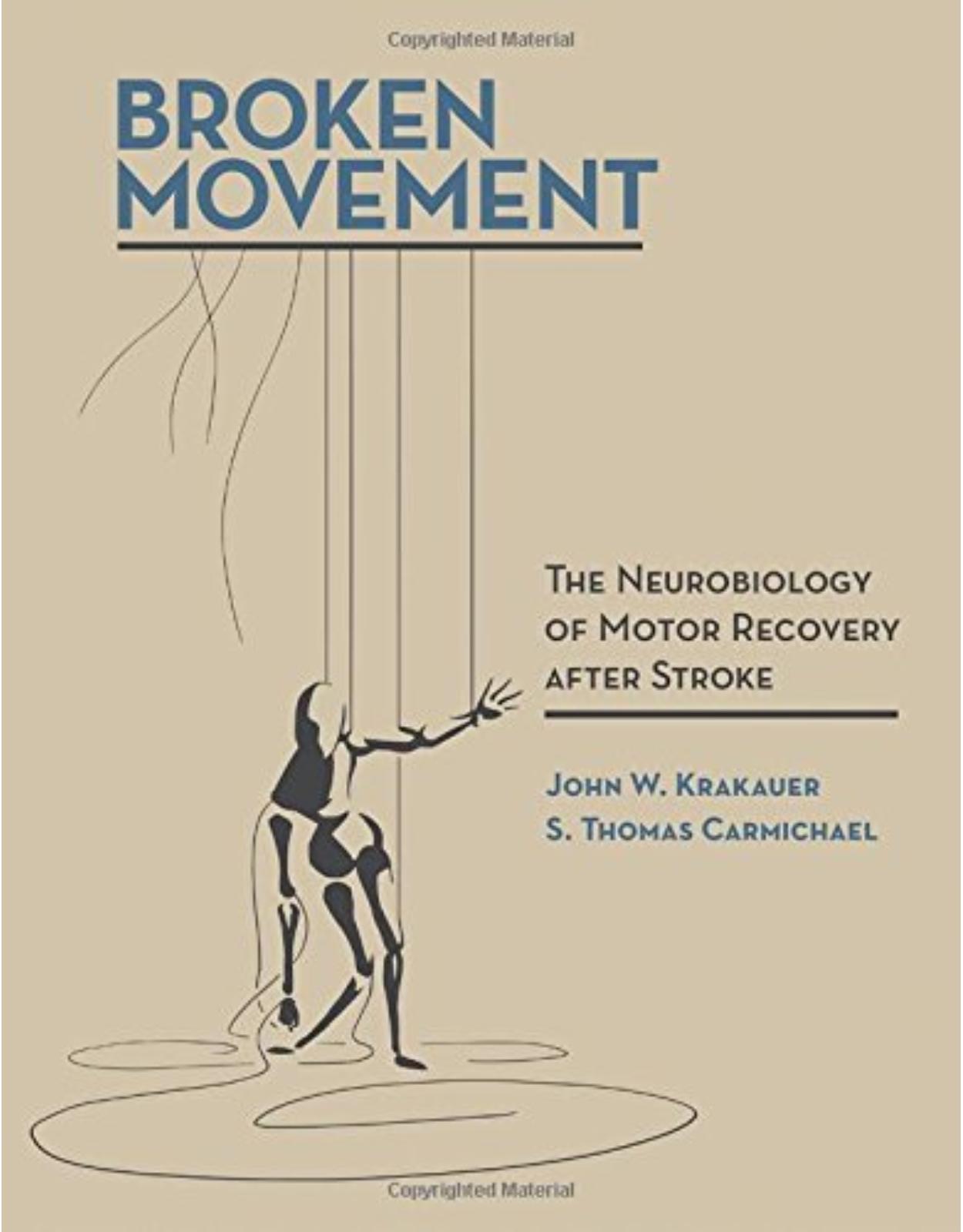 Broken Movement: The Neurobiology of Motor Recovery After Stroke
