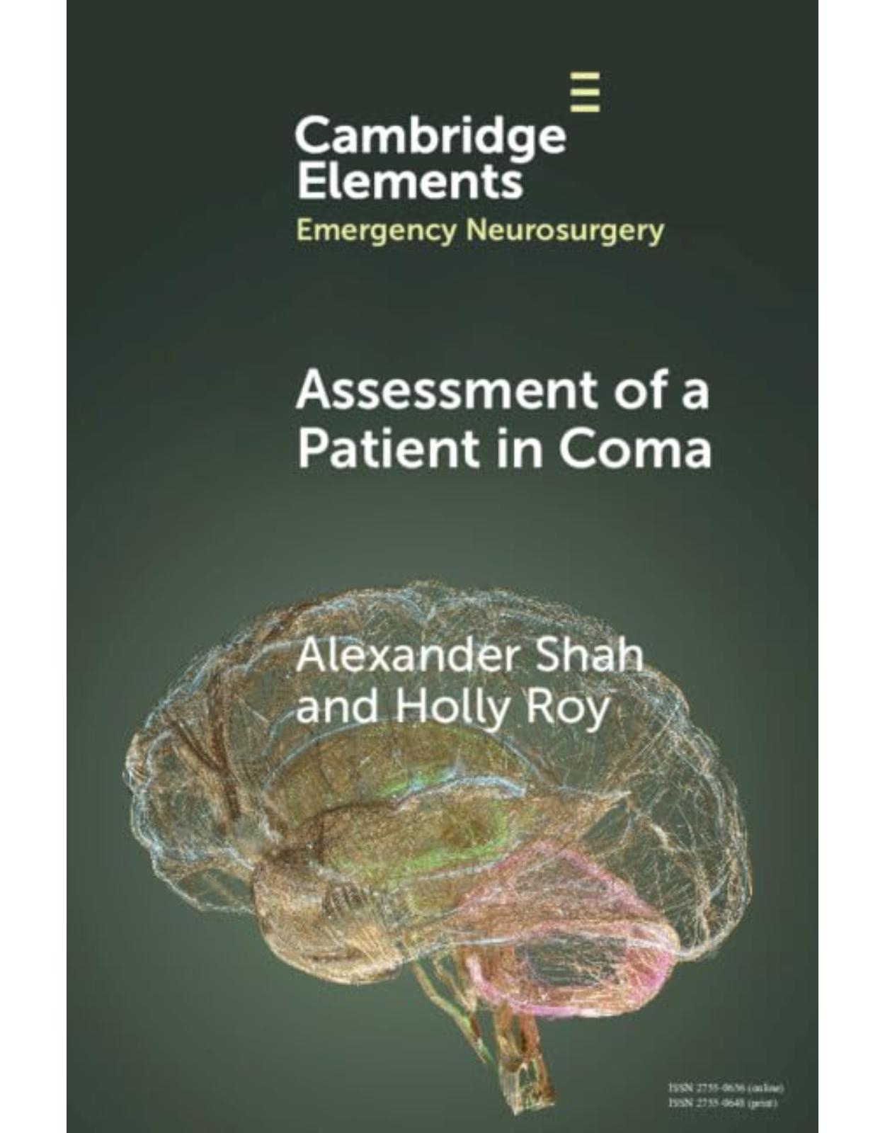 Assessment of a Patient in Coma