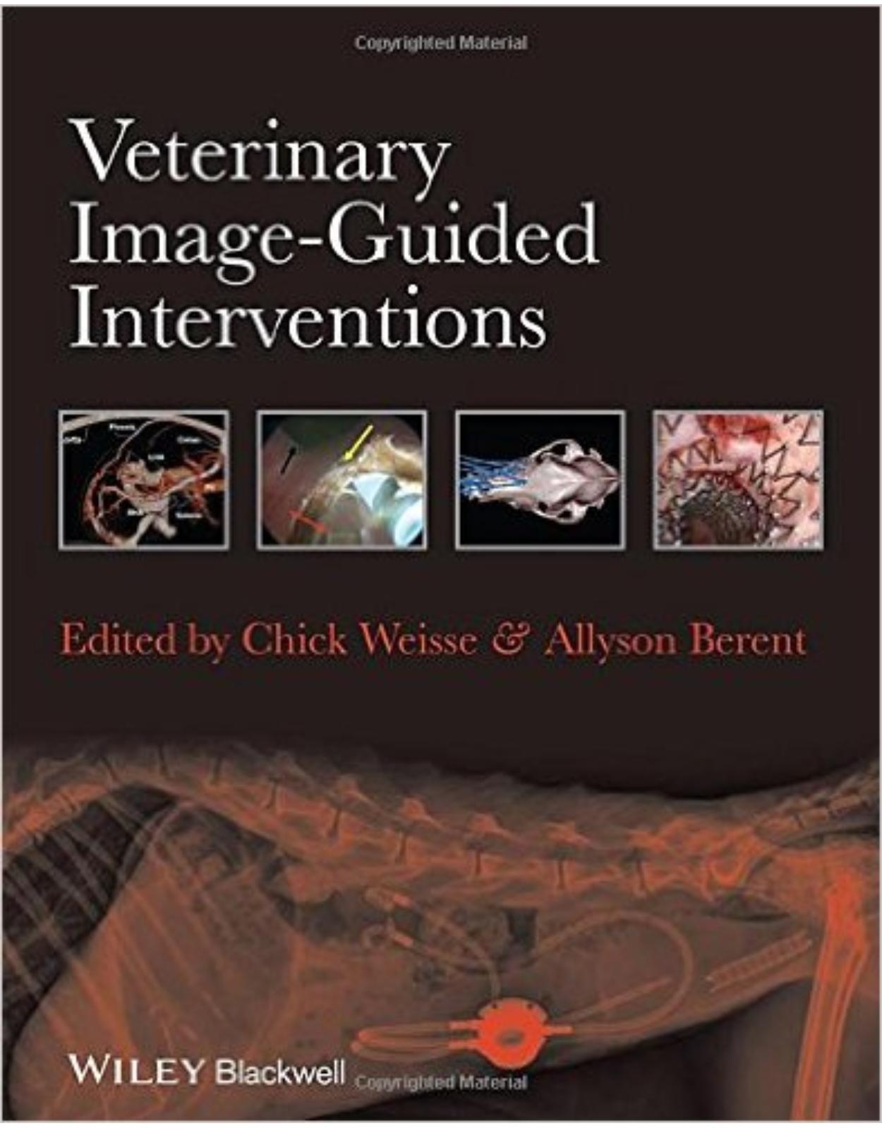 Veterinary Image-Guided Interventions