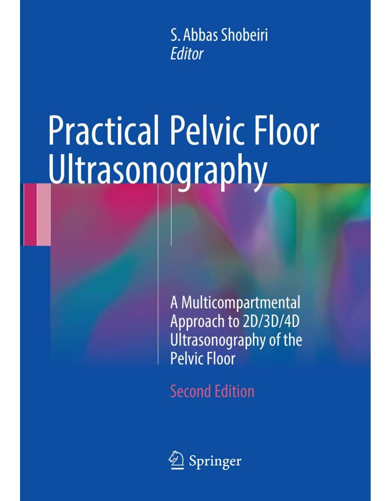 Practical Pelvic Floor Ultrasonography
