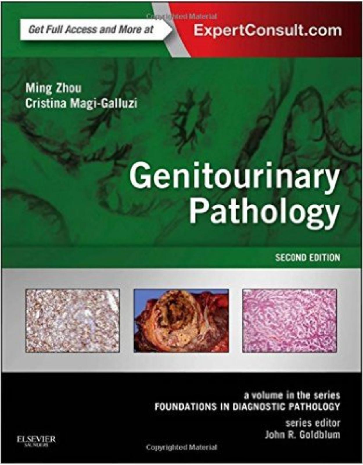 Genitourinary Pathology: A Volume in the Series: Foundations in Diagnostic Pathology, 2e