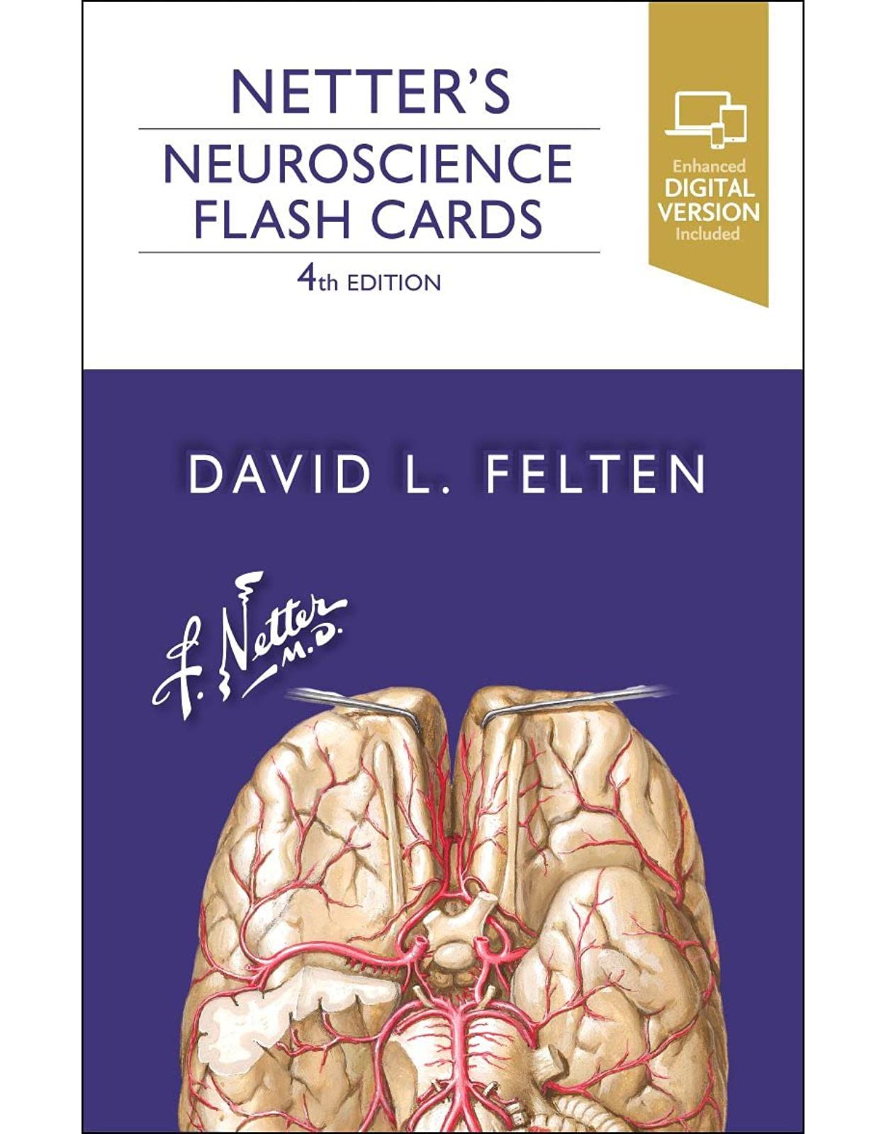 Netter's Neuroscience Flash Cards