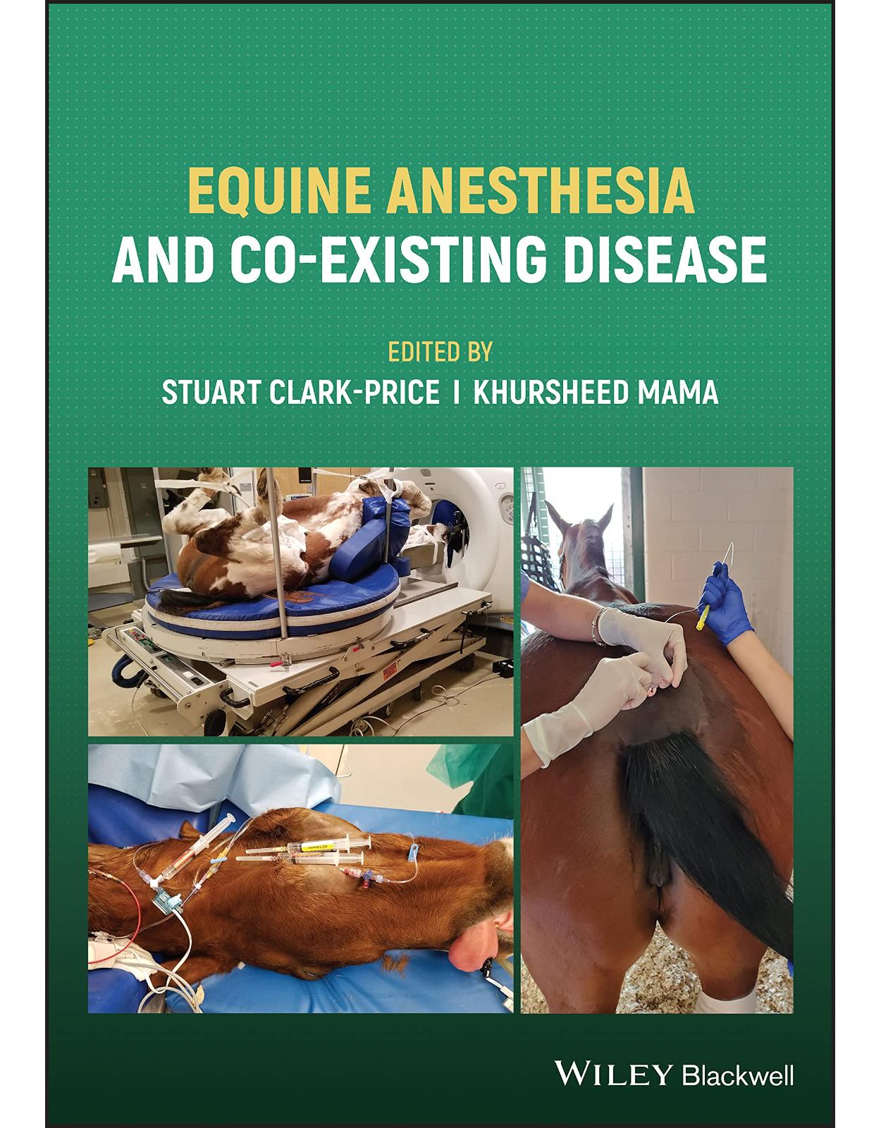 Equine Anesthesia and Co–Existing Disease