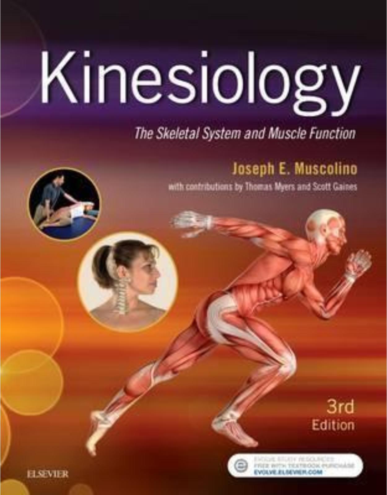 Kinesiology, 3rd Edition 