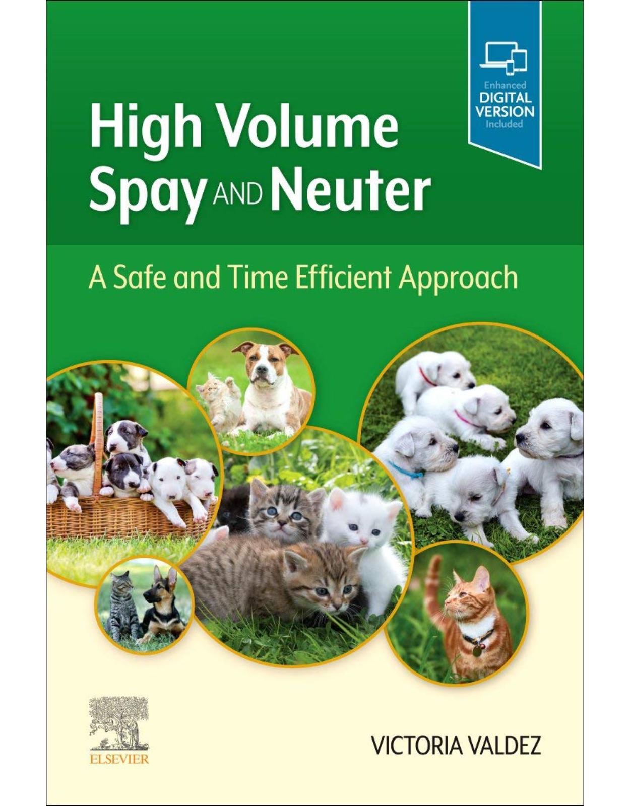 High Volume Spay and Neuter: A Safe and Time Efficient Approach