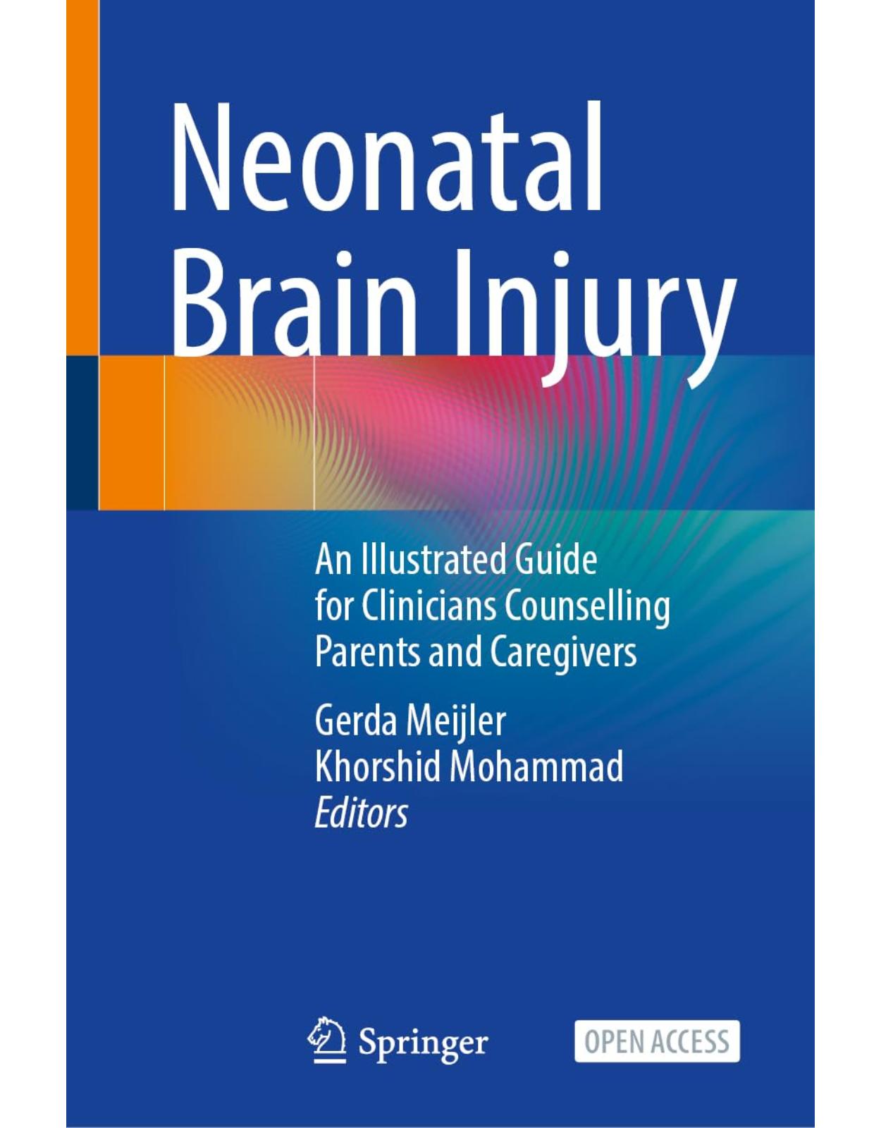 Neonatal Brain Injury. An Illustrated Guide for Clinicians Counselling Parents and Caregivers