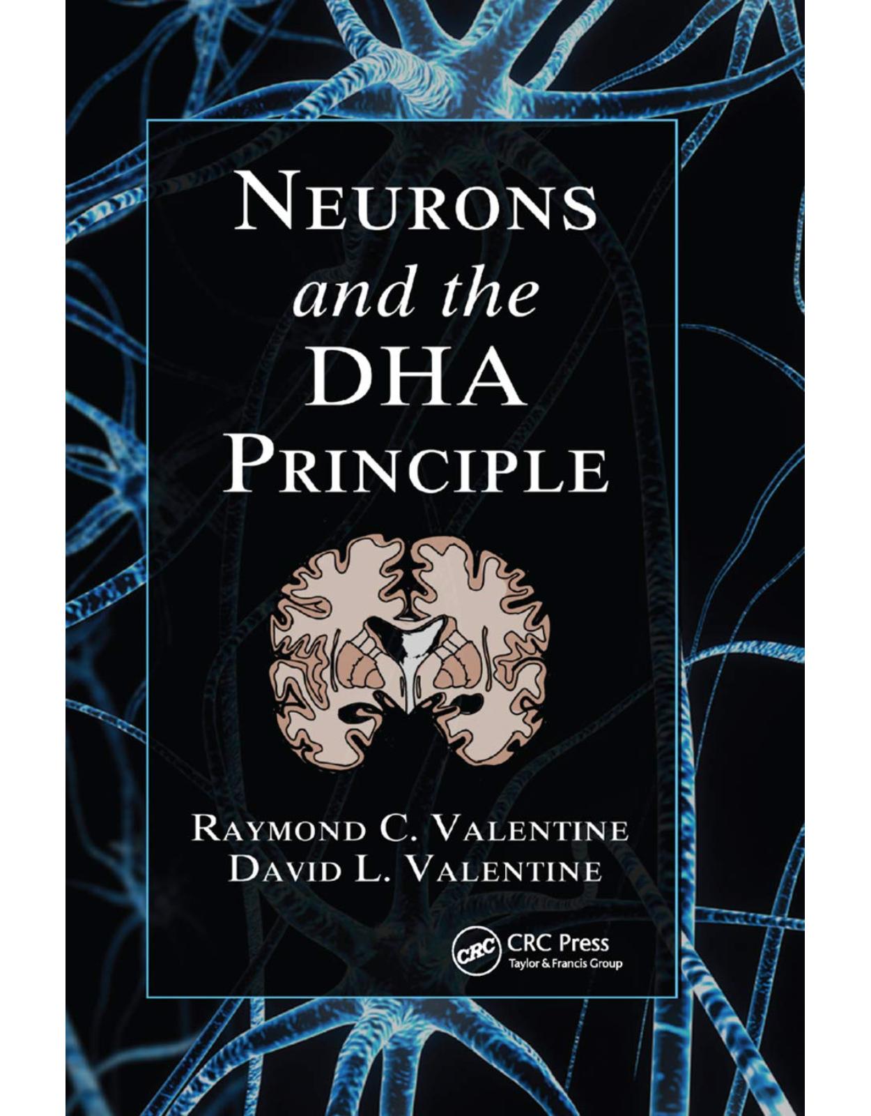 Neurons and the DHA Principle