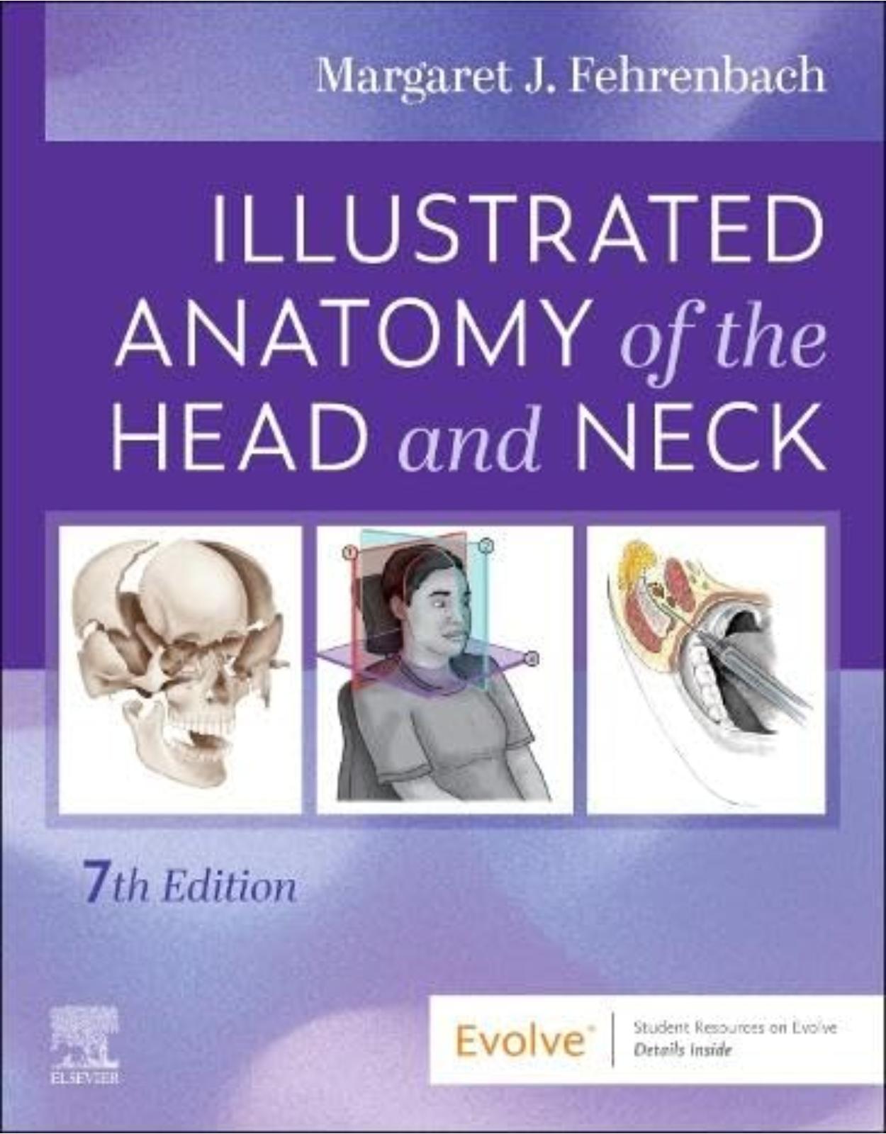 Illustrated Anatomy of the Head and Neck, 7th Edition