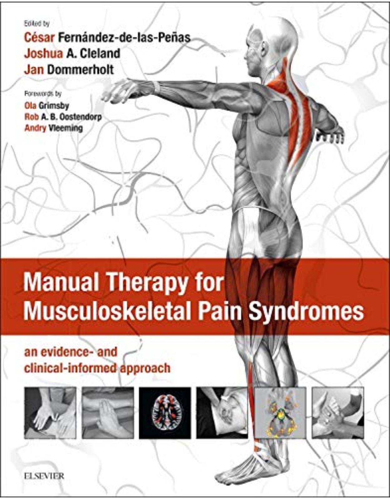 Manual Therapy for Musculoskeletal Pain Syndromes