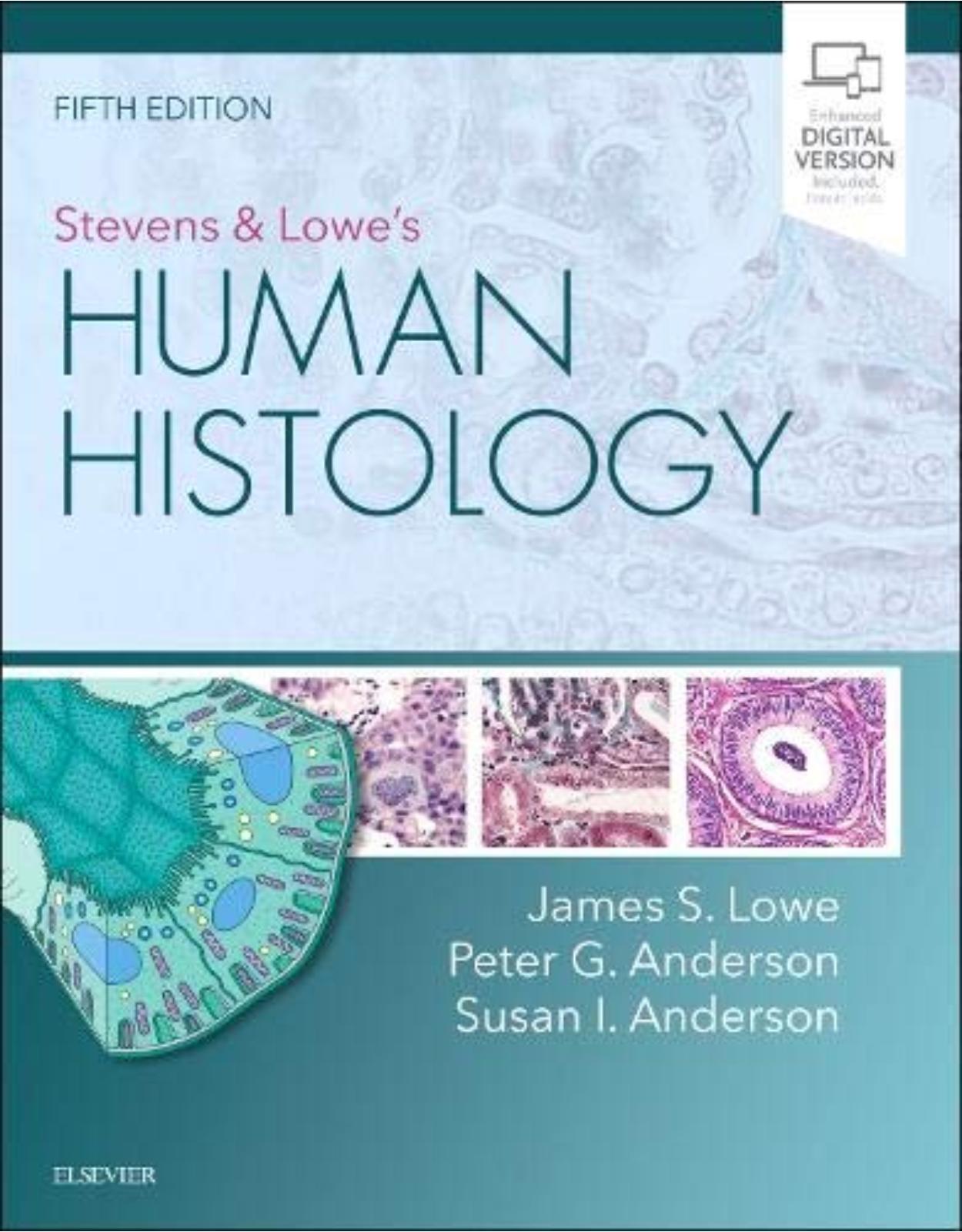 Stevens & Lowe’s Human Histology, 5e