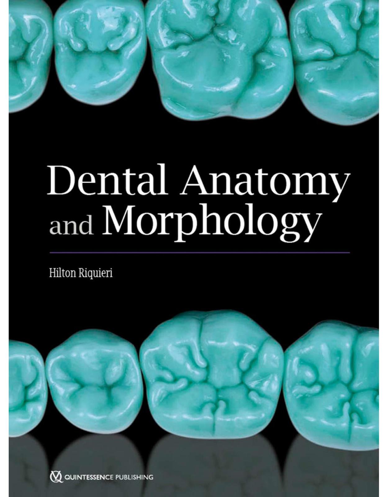 Dental Anatomy and Morphology