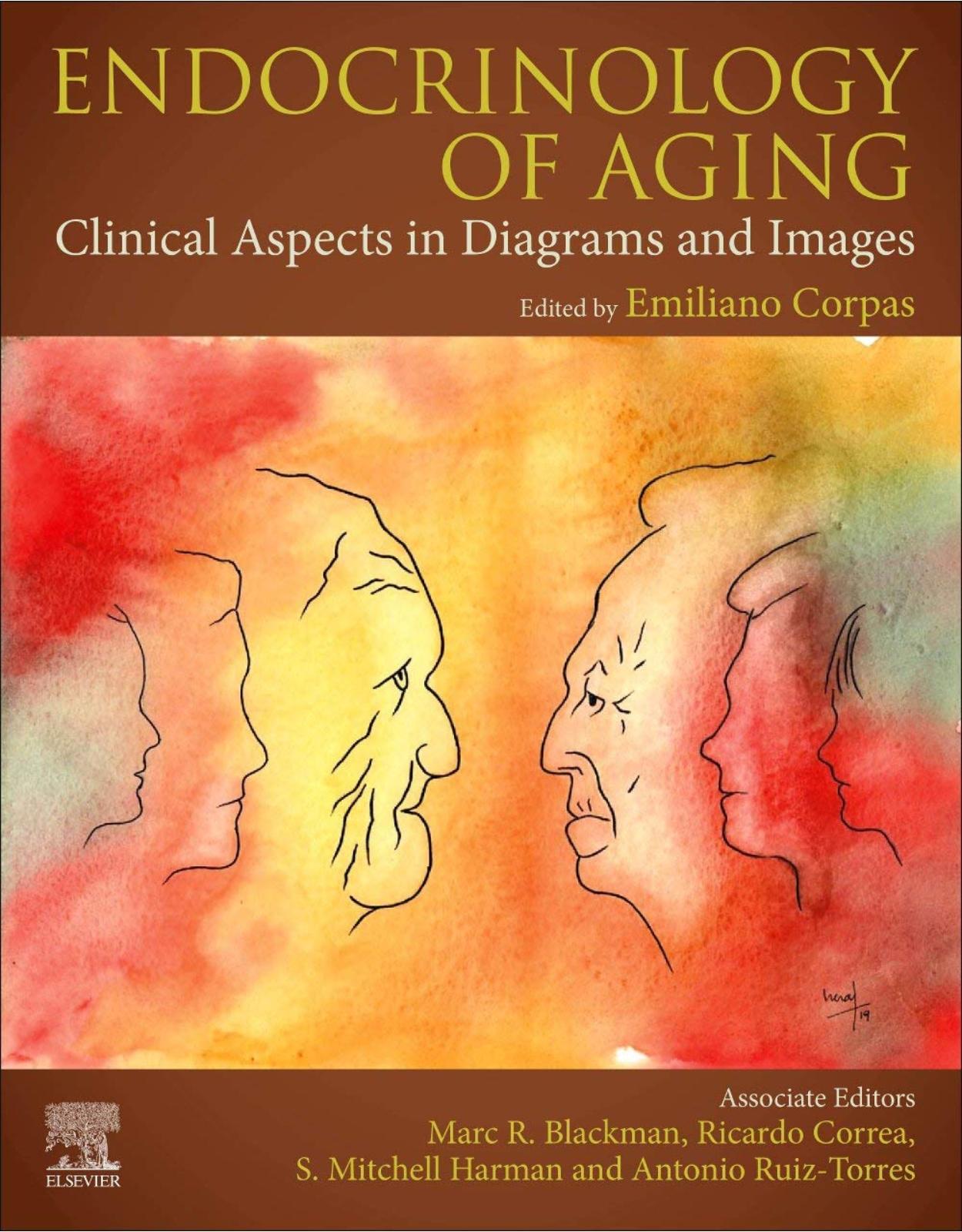 Endocrinology of Aging: Clinical Aspects in Diagrams and Images