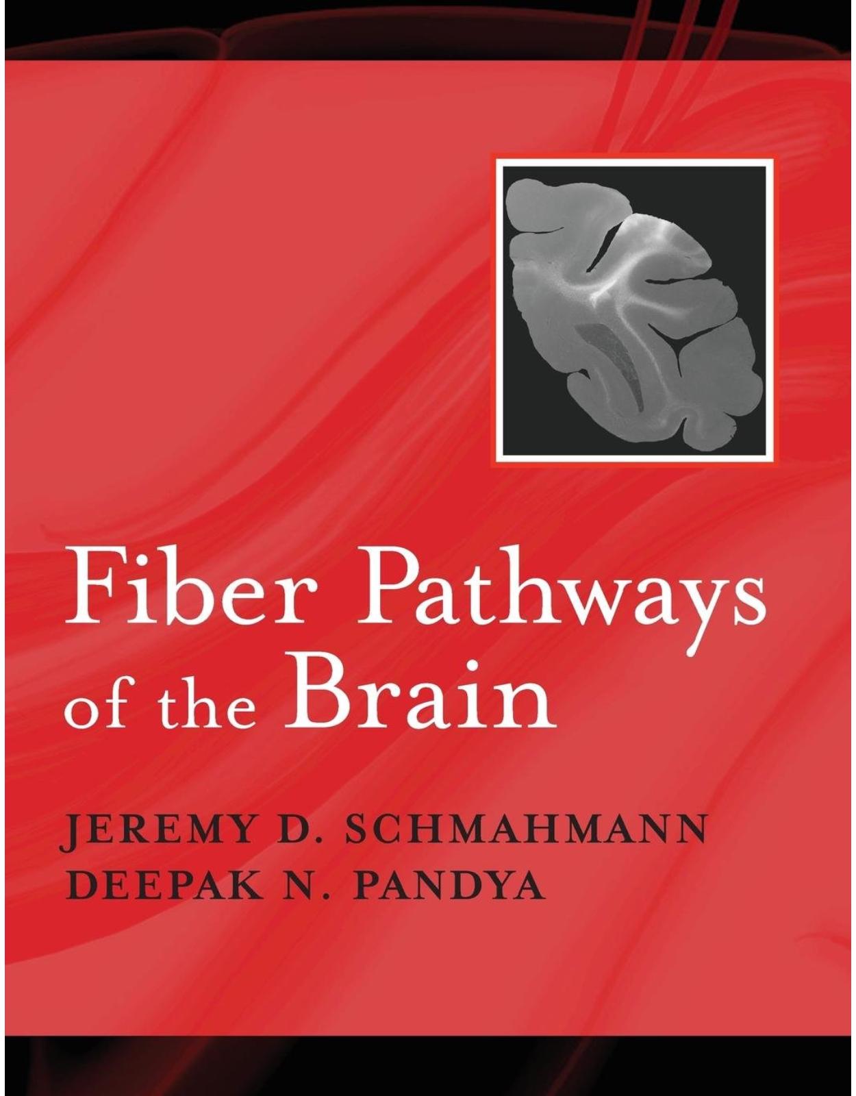 Fiber Pathways of the Brain