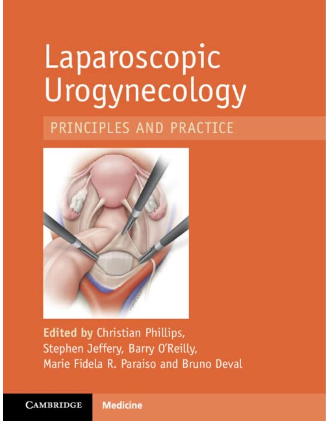 Laparoscopic Urogynaecology: Principles and Practice 