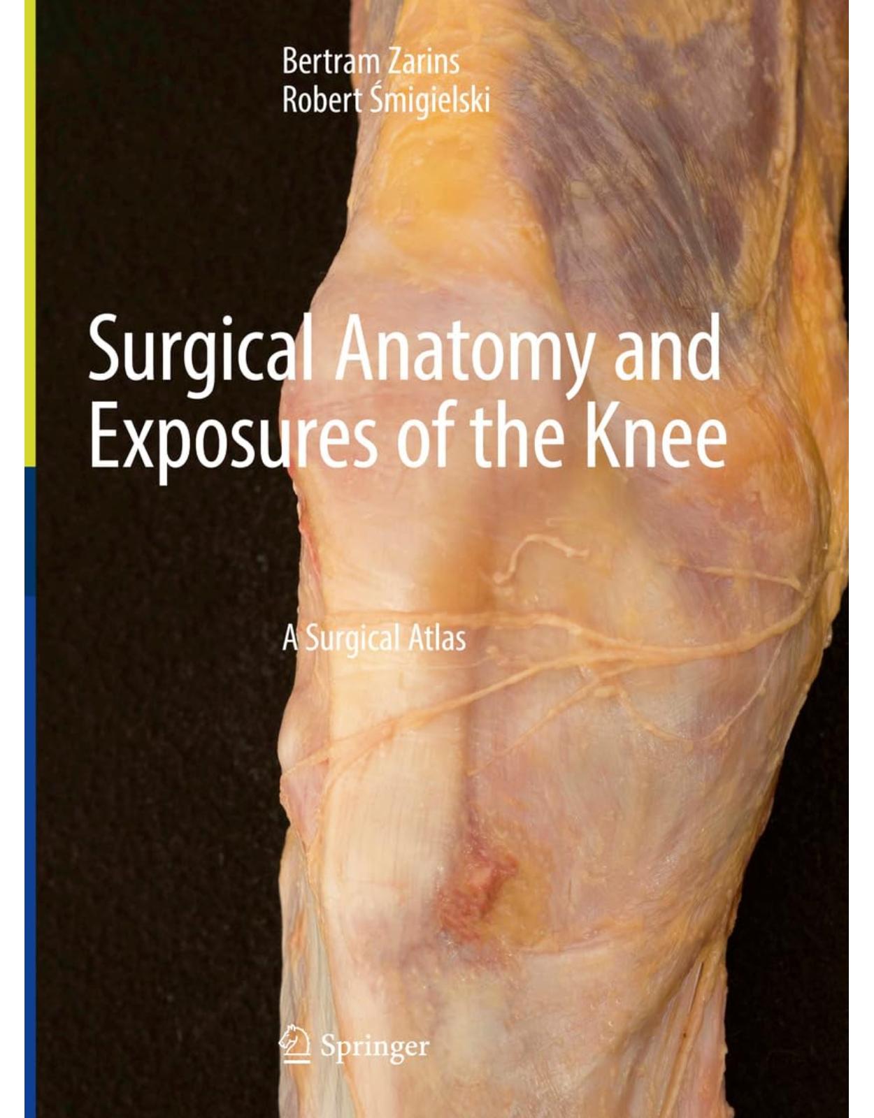 Surgical Anatomy and Exposures of the Knee