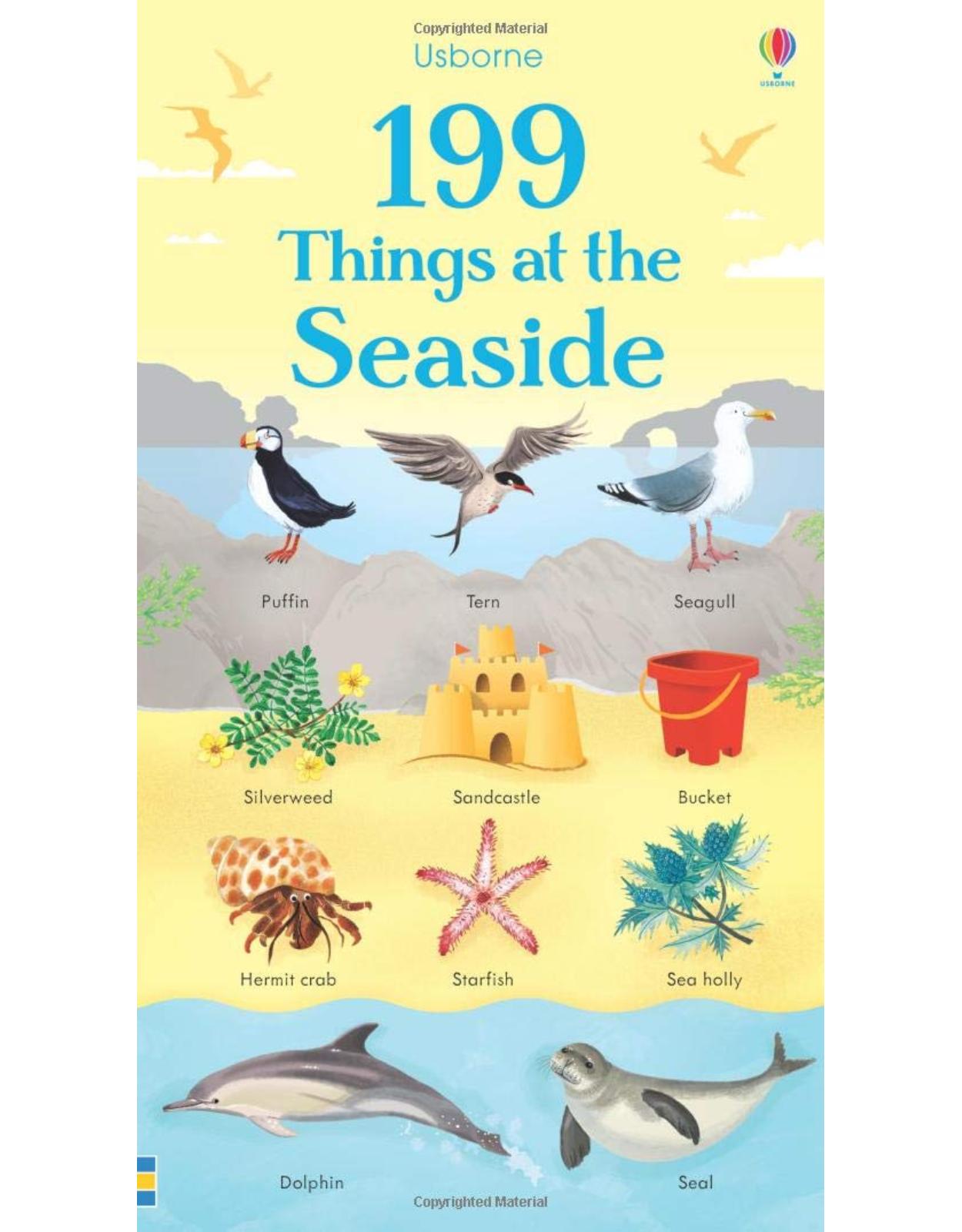 199 Things at the Seaside (199 Pictures) 