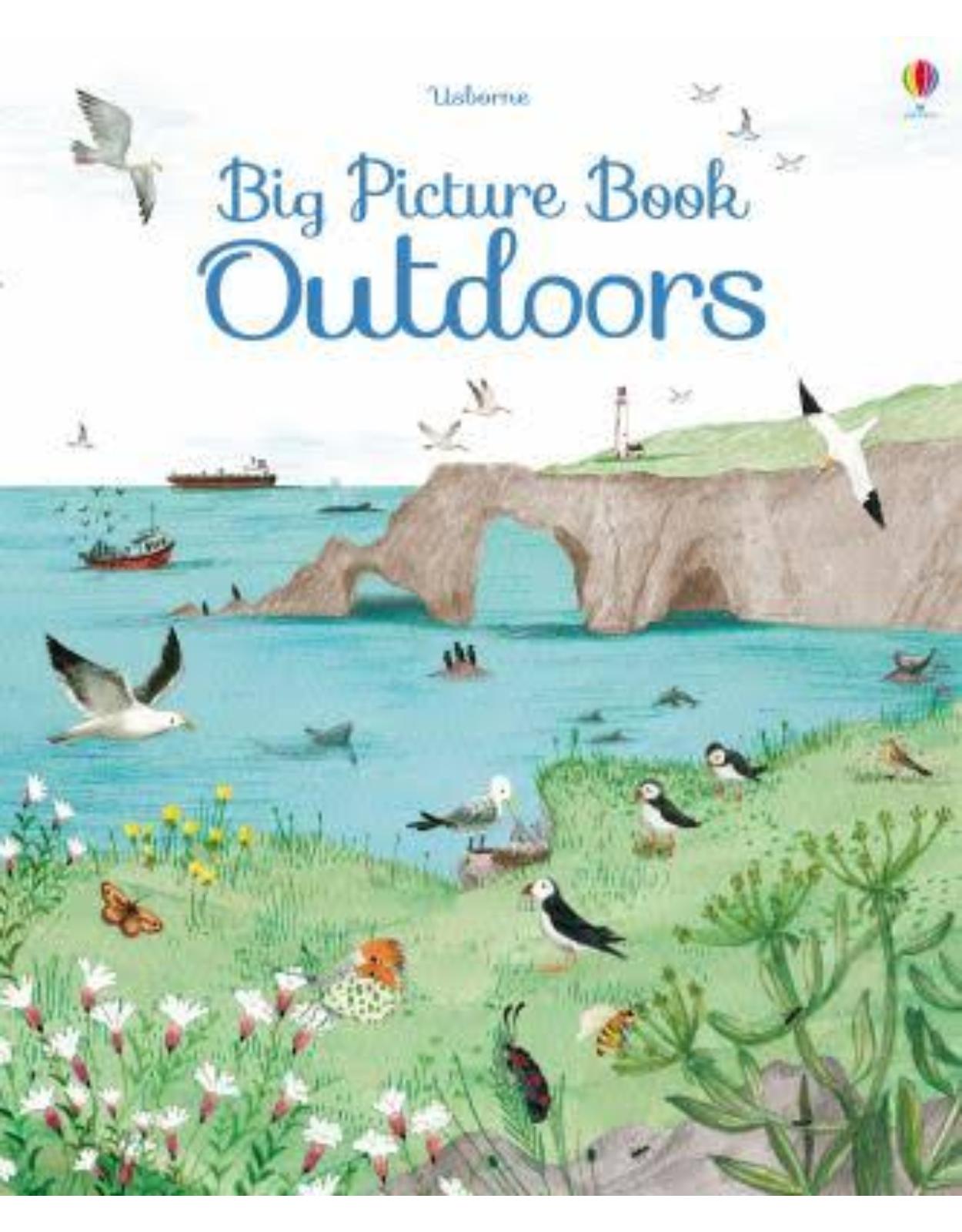 Big Picture Book Outdoors