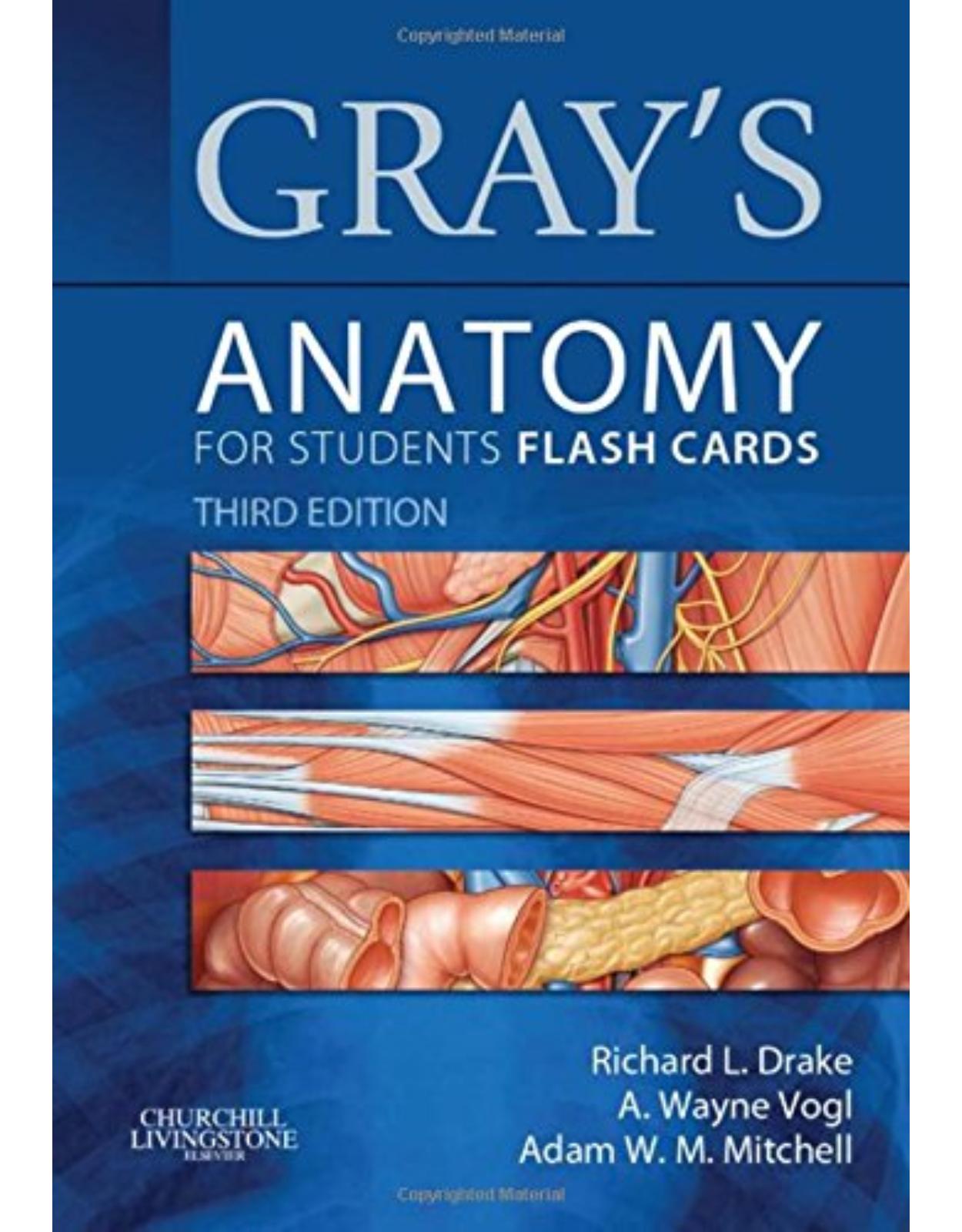  Gray's Anatomy for Students Flash Cards, 3rd Edition