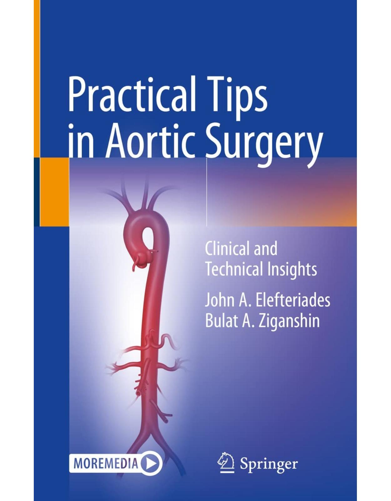 Practical Tips in Aortic Surgery: Clinical and Technical Insights (Medicine)