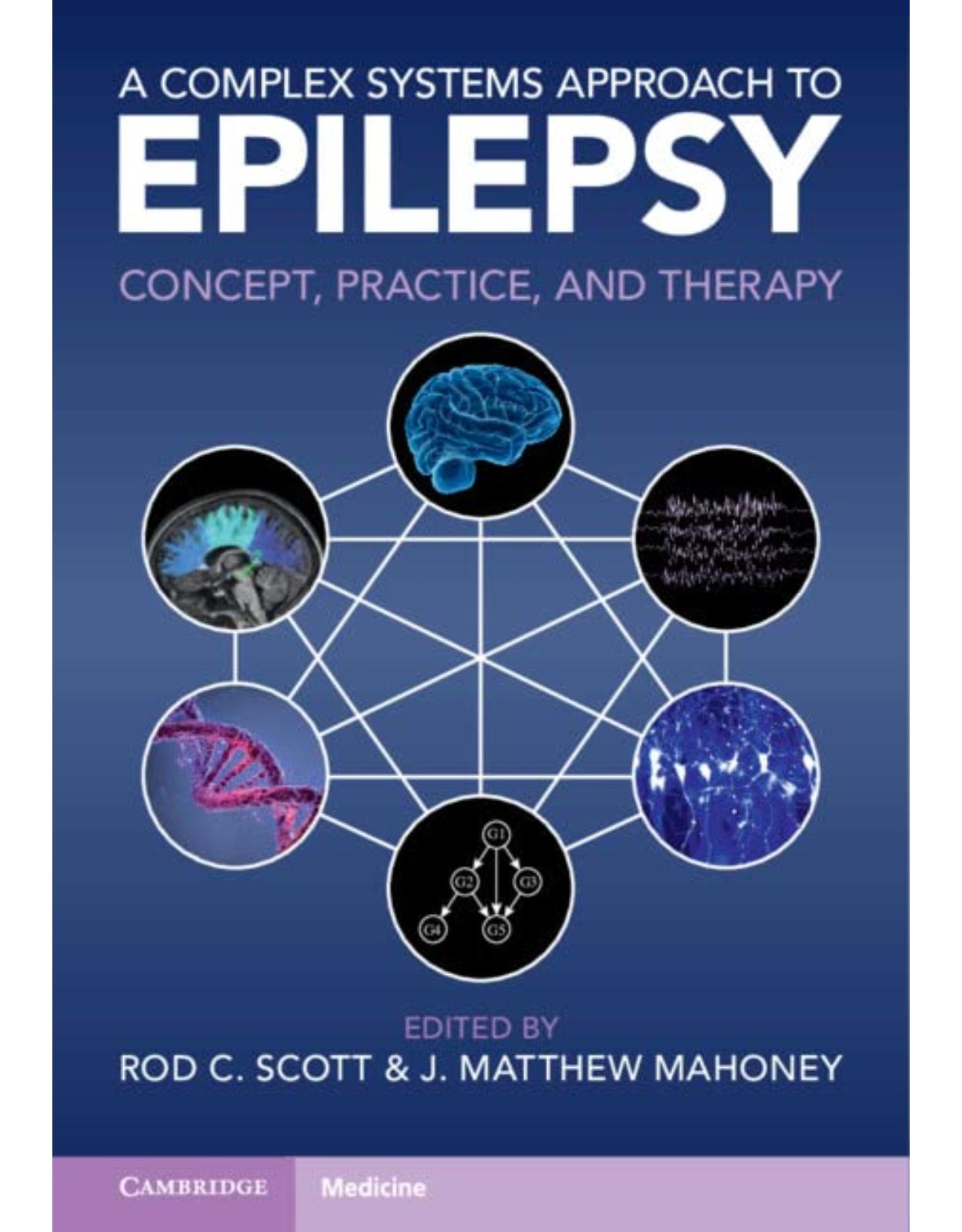 A Complex Systems Approach to Epilepsy: Concept, Practice, and Therapy