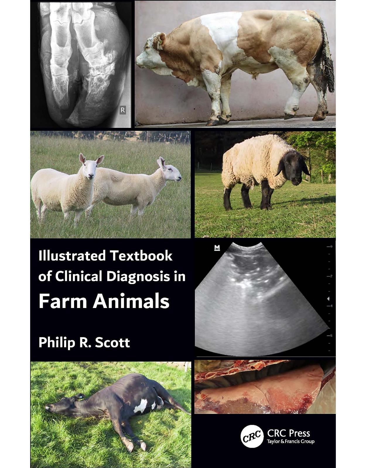 Illustrated Textbook of Clinical Diagnosis in Farm Animals