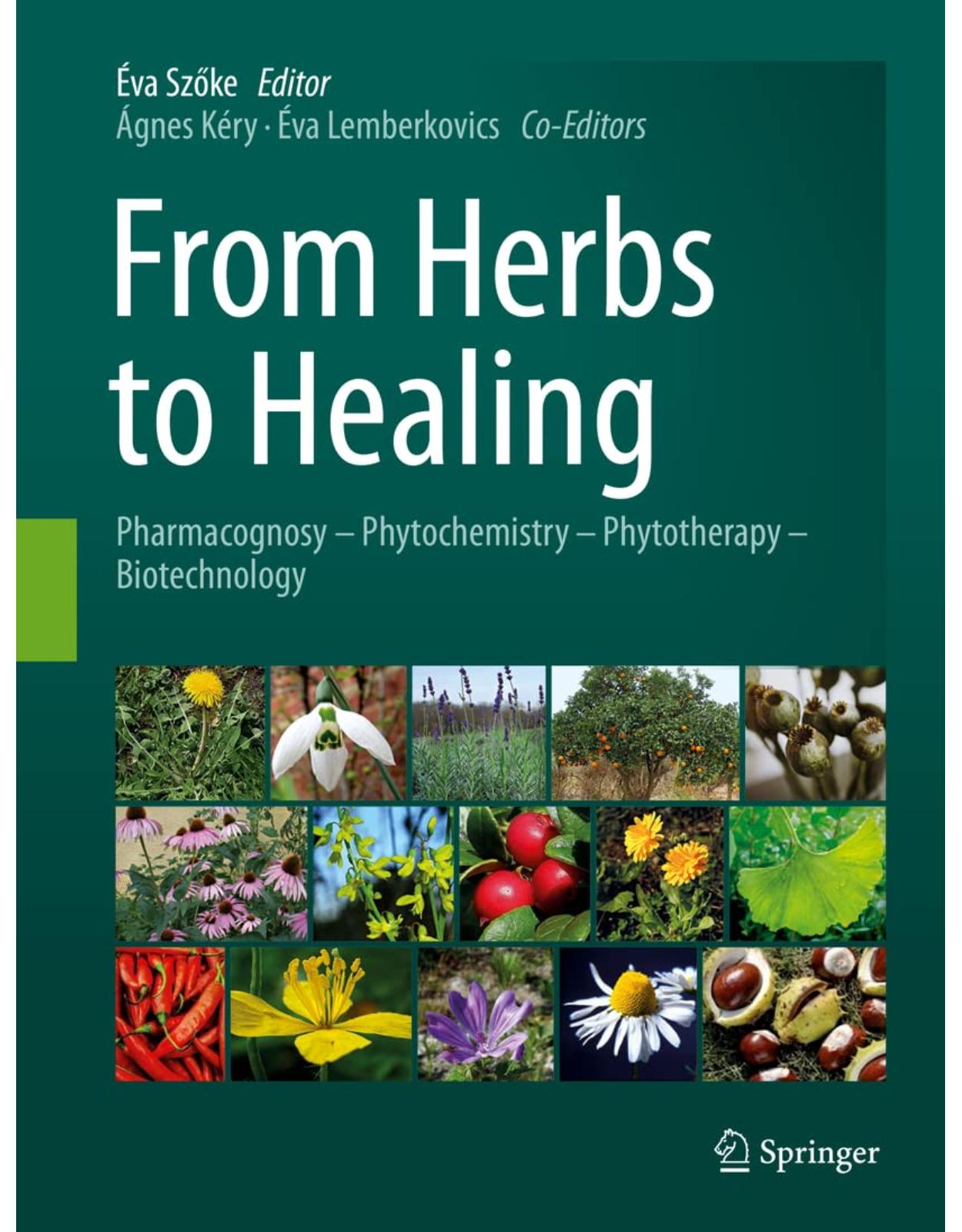 From Herbs to Healing