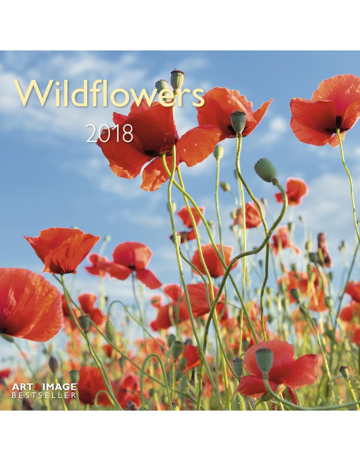 Calendar Wildflowers 2018