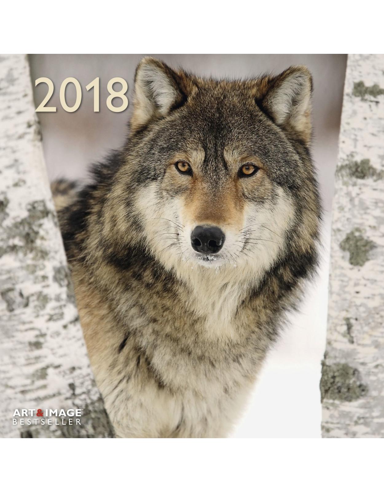 Calendar Wolves 2018
