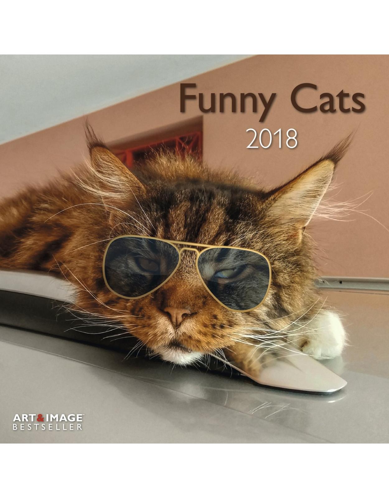 Calendar Funny Cats 2018