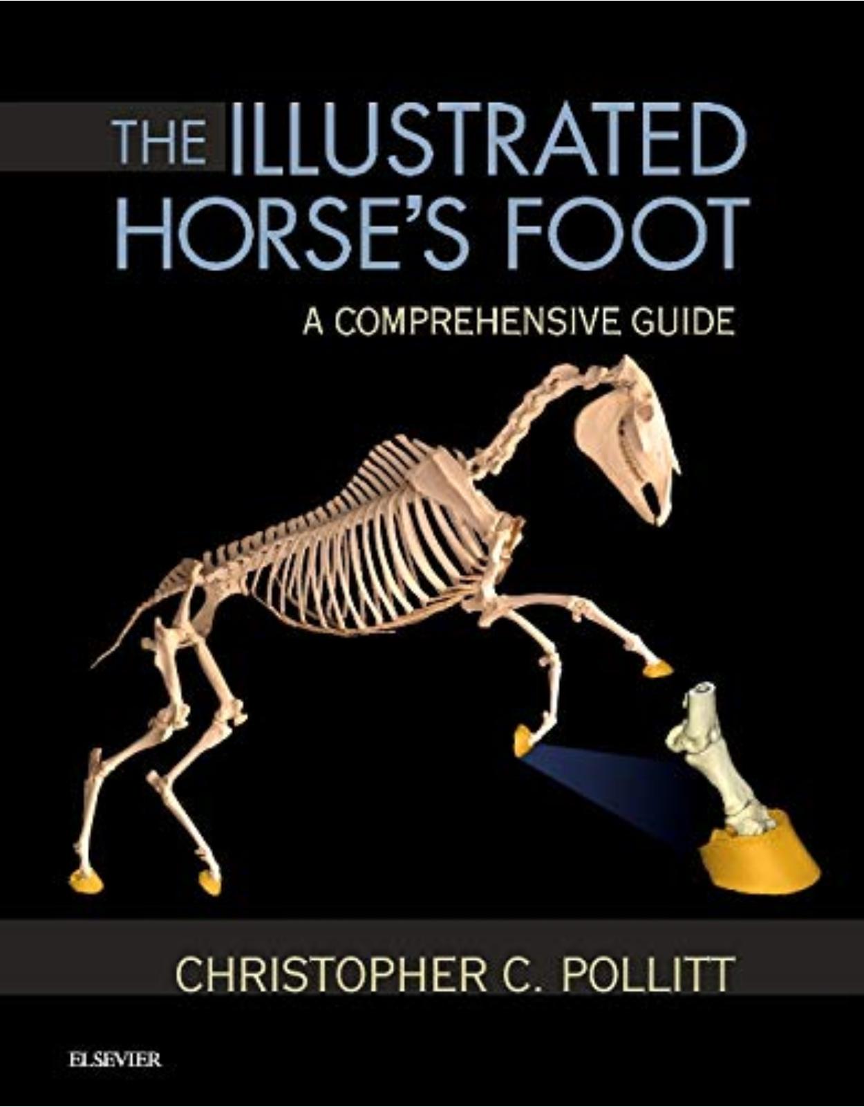 The Illustrated Horse’s Foot: A comprehensive guide, 1e