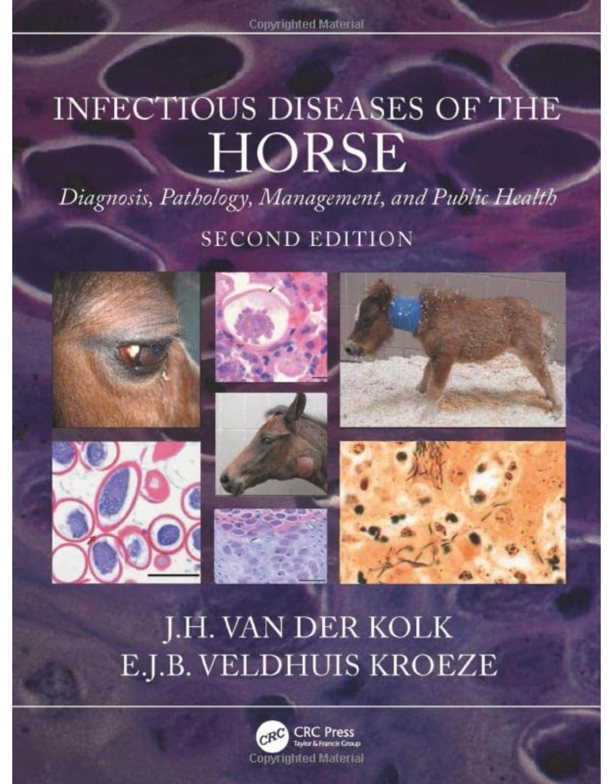 Infectious Diseases of the Horse
