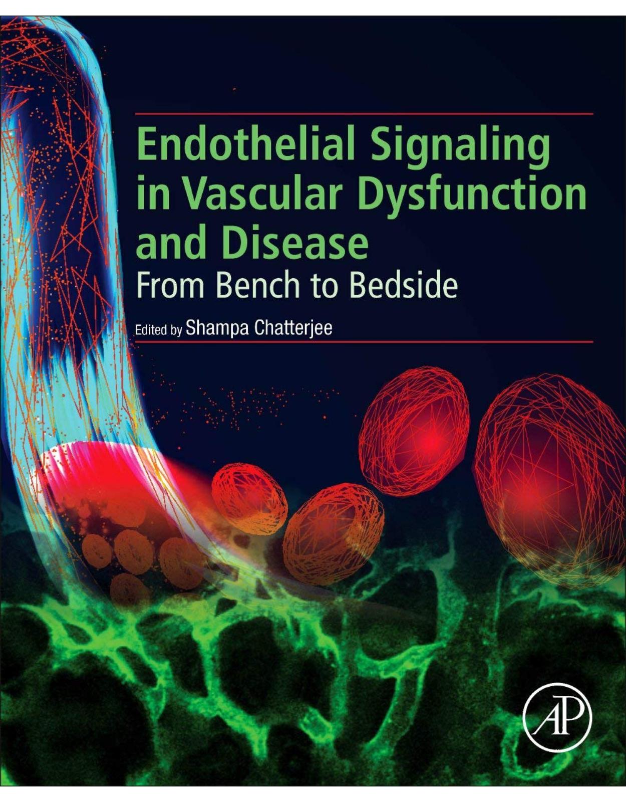 Endothelial Signaling in Vascular Dysfunction and Disease: From Bench to Bedside 