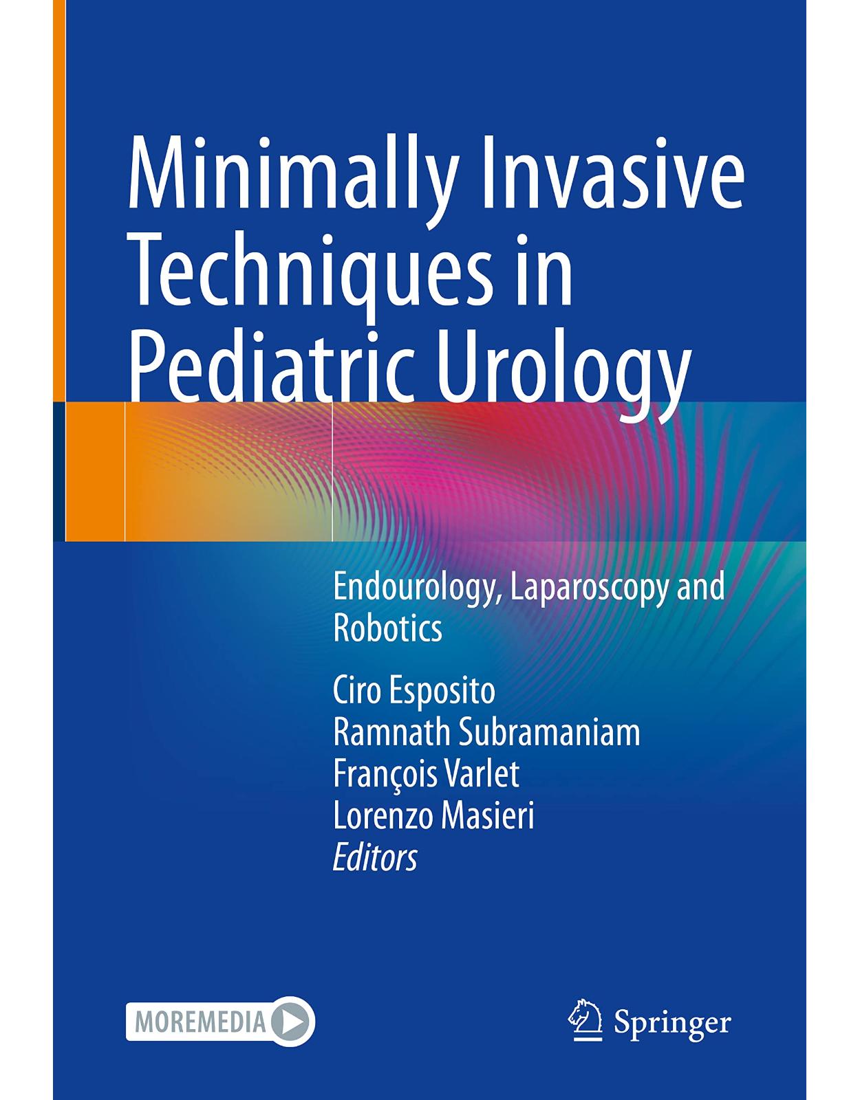 Minimally Invasive Techniques in Pediatric Urology