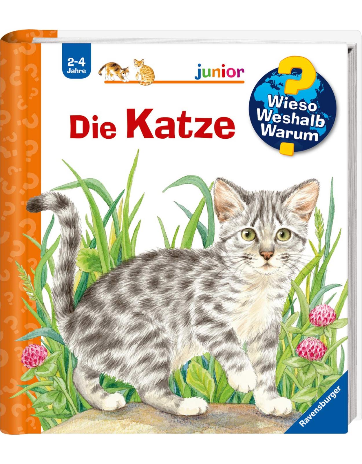 Die Katze 