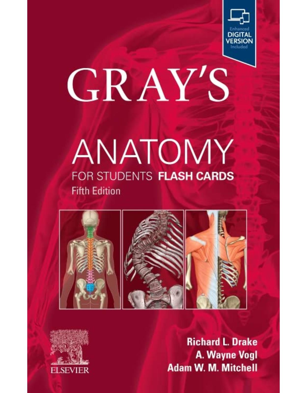 Gray’s Anatomy for Students Flash Cards